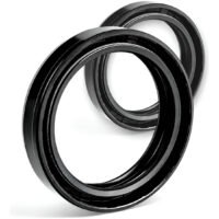 Kit Retenes Horquilla Ariete Ari.158 Ktm Duke 390 2016-2017