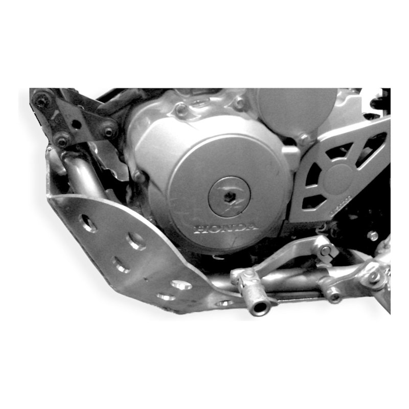 Protector Cubrecarter Rvm Cz 250 L 2021-2025