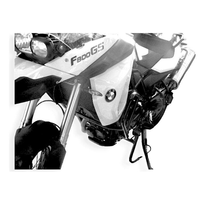 Defensa Motor Bmw Gs 650 F Bicilindrica