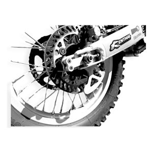 Protector Disco Freno Trasero Swm Rs 300r 2016-2023