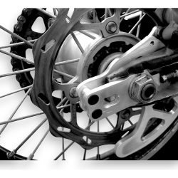 Protector Disco Freno Trasero Beta Rr 200 2019-2024