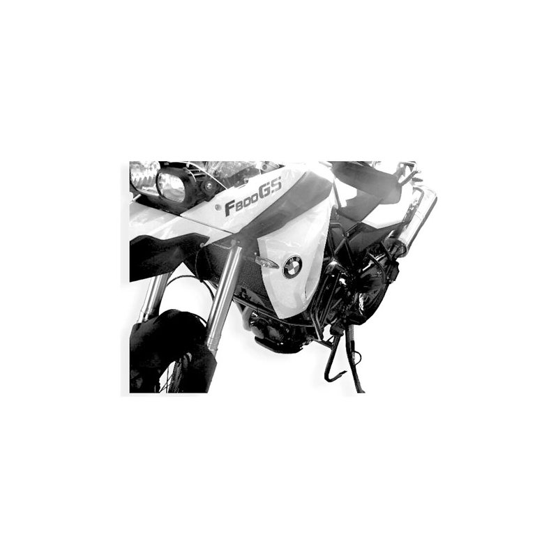 Defensa Motor Bmw Gs 650 F Bicilindrica