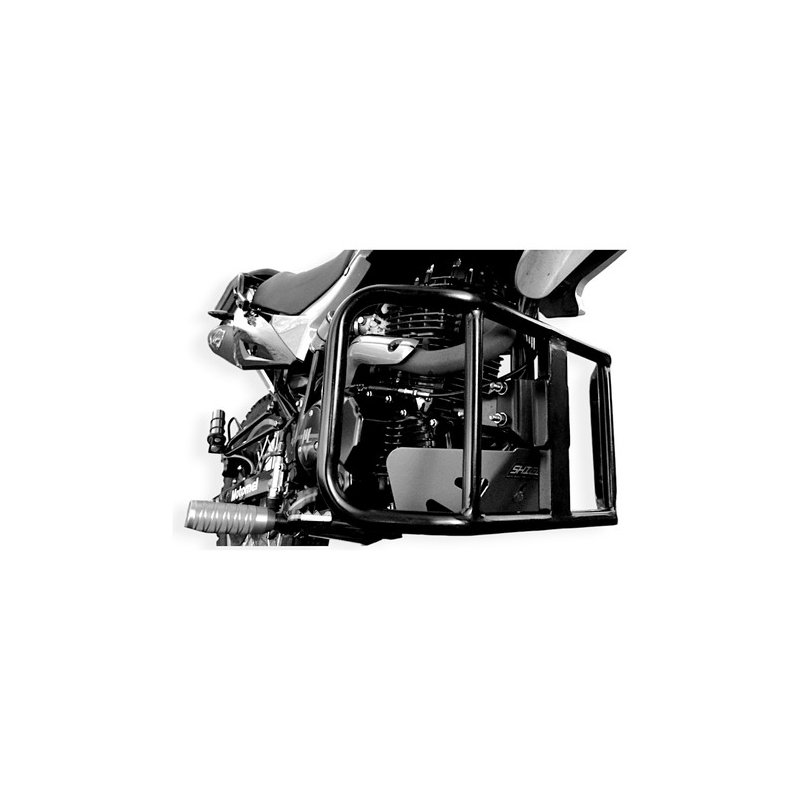 Defensa Motor Motomel Skua 250