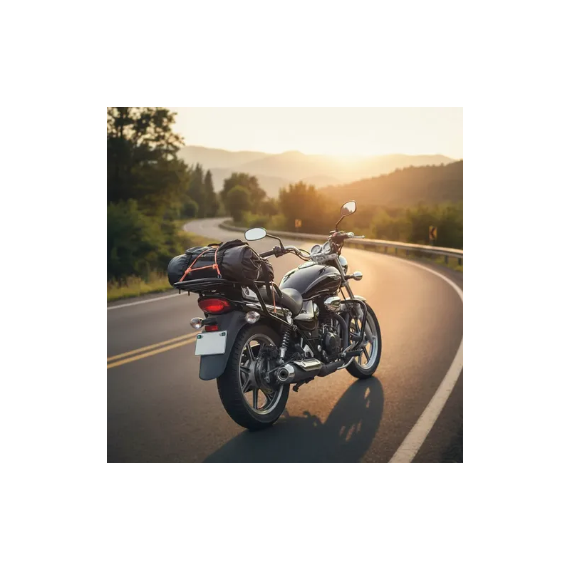 Portaequipaje Bajaj 200 Avenger