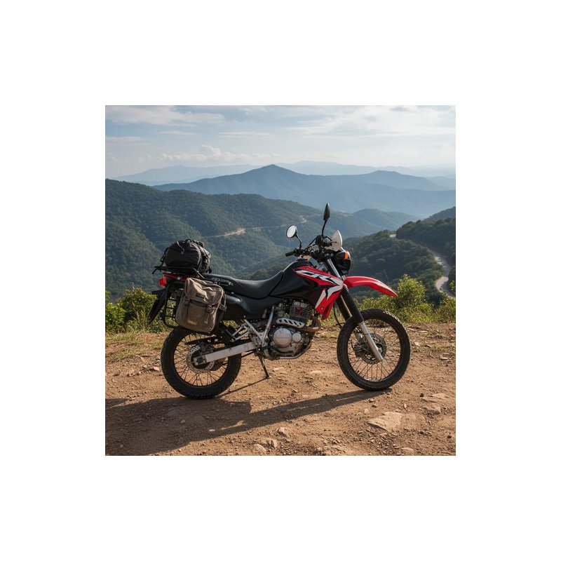 Portaequipaje + Soporte Bolsos S/base Honda Xr 250 Tornado