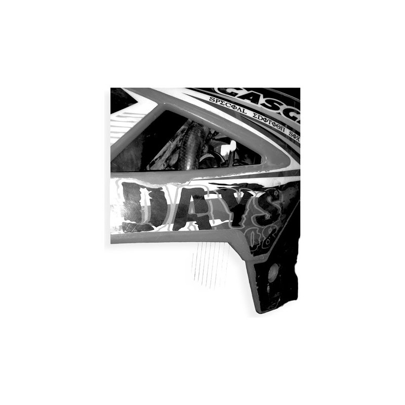 Refuerzo Protector Radiador Gasgas Ec 515 2007-2011