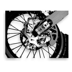 Defensa Protector Disco Freno Beta 300 Xtrainer 2015-2024