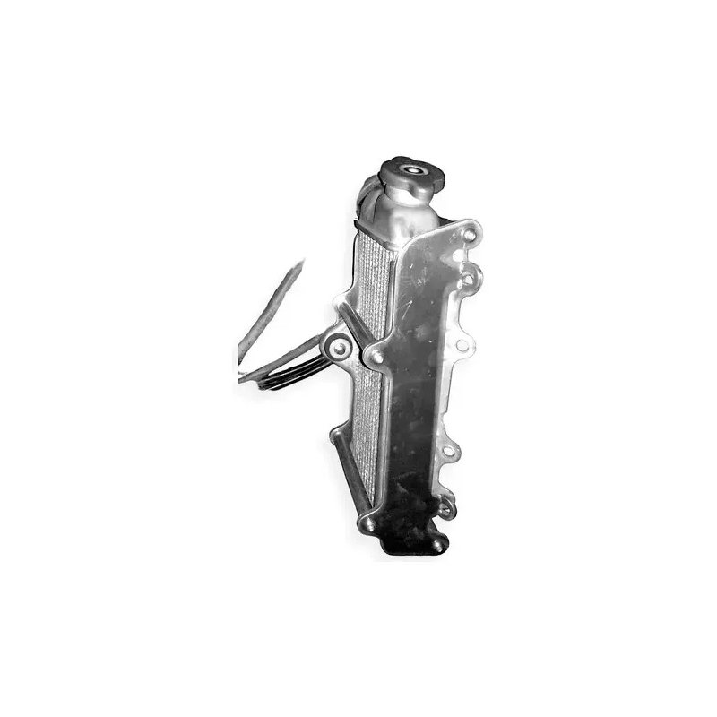 Refuerzo Protector Radiador Yamaha Wr 250 F 2003-2006