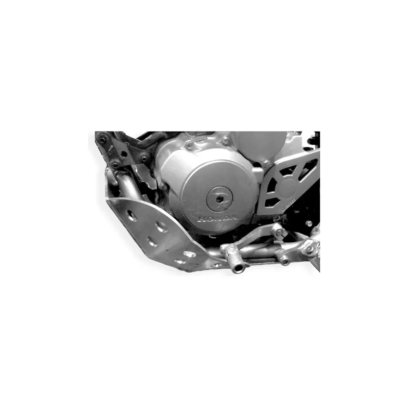 Protector Cubrecarter Rvm Cz 250 L 2021-2025