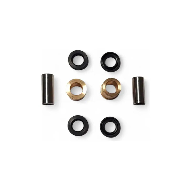 Kit Reparacion Horquillon Xmotos Xz 250 R 2010-2016